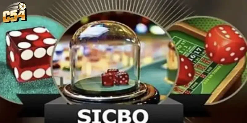 Cách thắng Sicbo mỗi ván C54: 5 Tuyệt chiêu độc quyền cần biết
